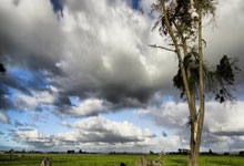 黑白直播在线观看-关于塞尔维亚男篮横扫阿根廷男篮，保罗关键制胜的信息