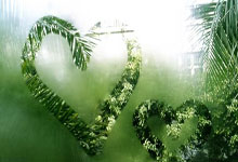 黑白直播在线观看-关于塞尔维亚男篮横扫阿根廷男篮，保罗关键制胜的信息