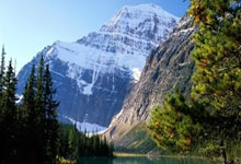 黑白直播体育-帕尔梅拉斯中场控制加强，争取比赛主动权