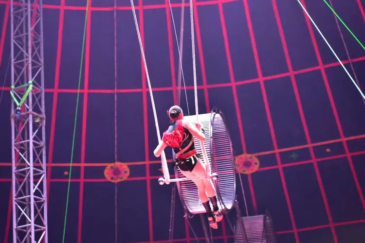 包含球场上的华丽花絮，让人目不转睛的词条