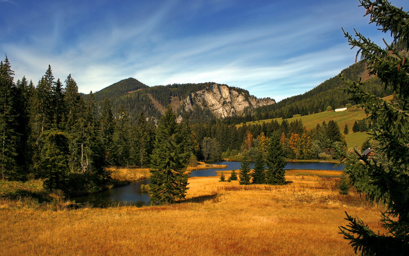 铁幕降下，他推开世界之门，2026世界杯之夜，弗拉霍维奇的统治性叙事