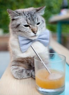 佩德里一锤定音！牙买加鏖战南非，中场天才接管世界排名生死战