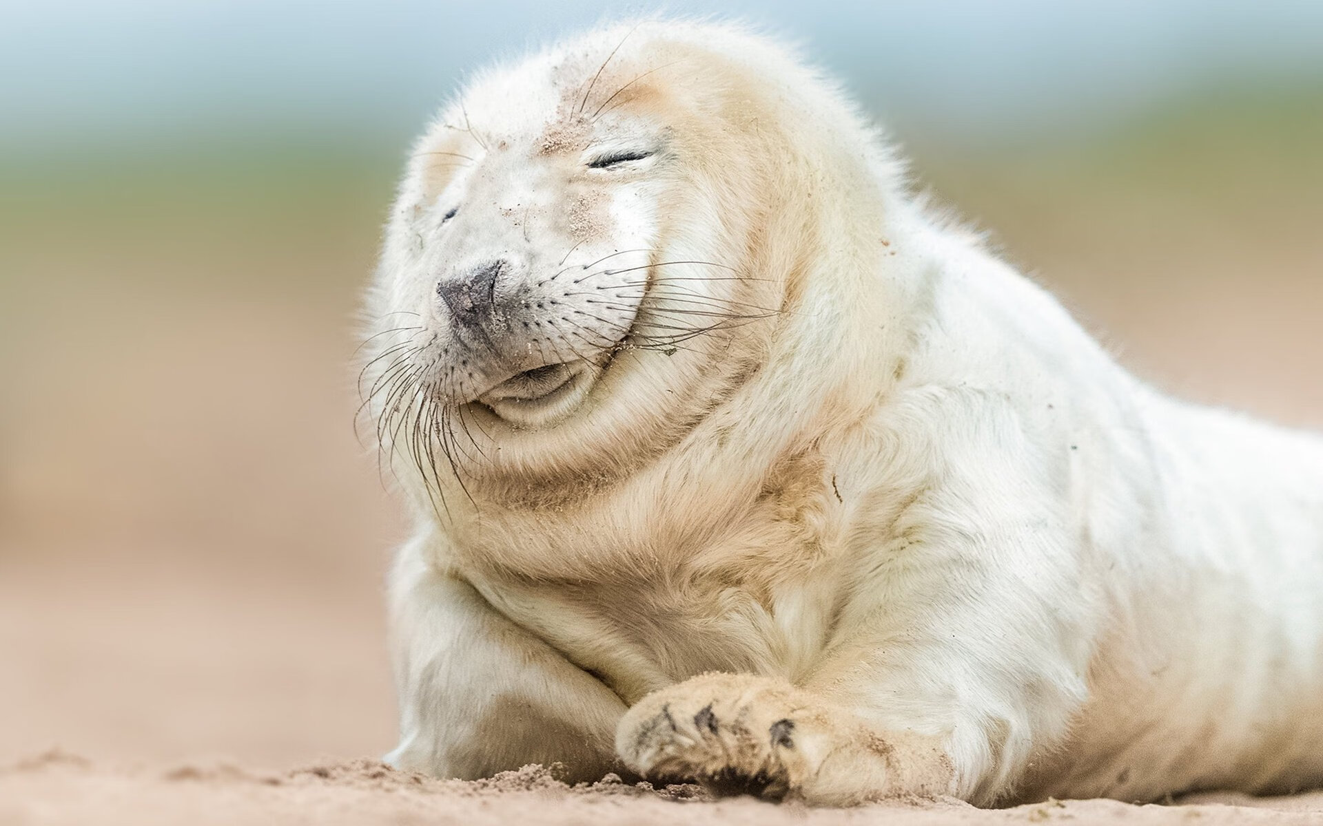 西甲国家德比之夜，卡瓦哈尔，定义大场面的隐形支柱