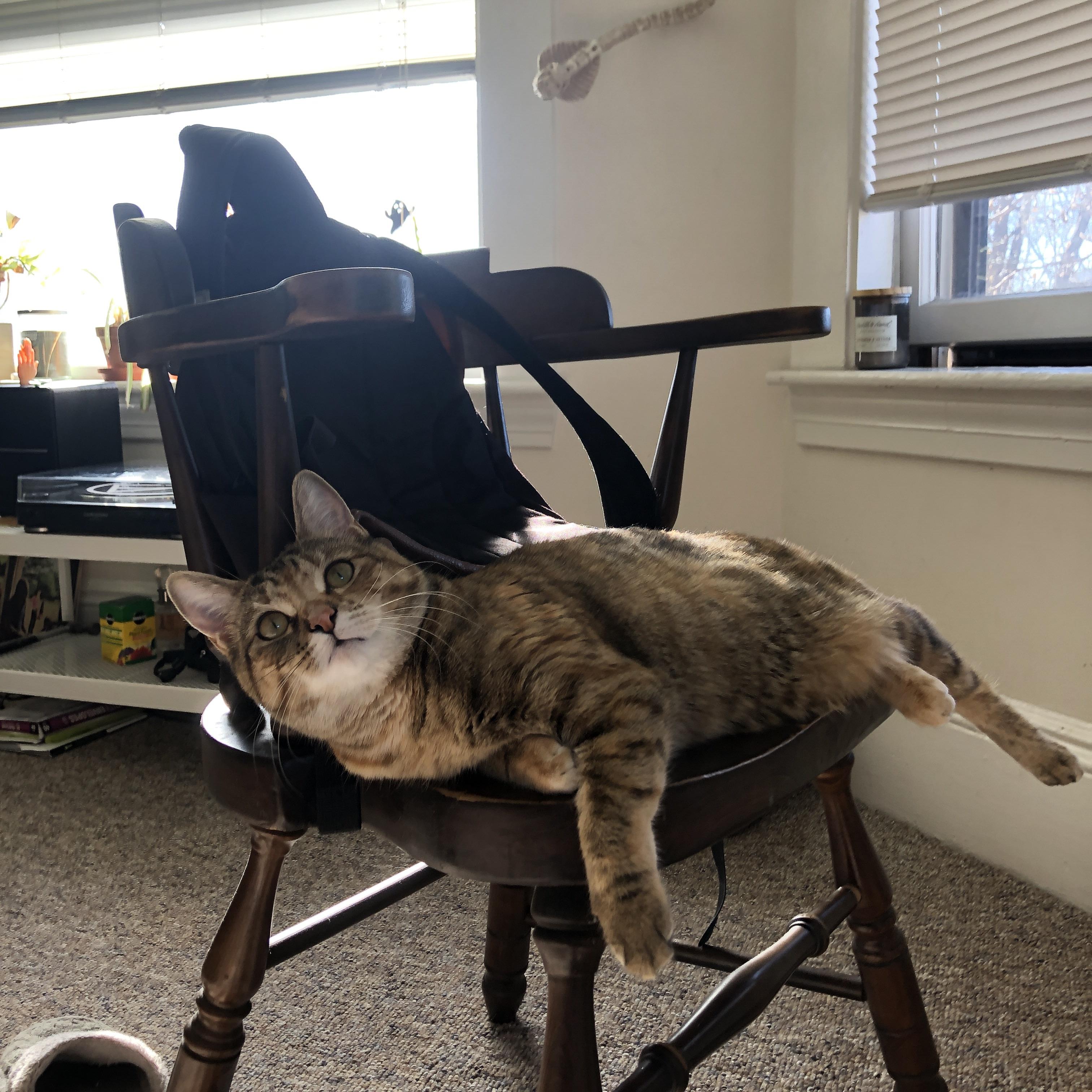 欧冠之夜，奥利维耶，暗夜里的孤星与救赎