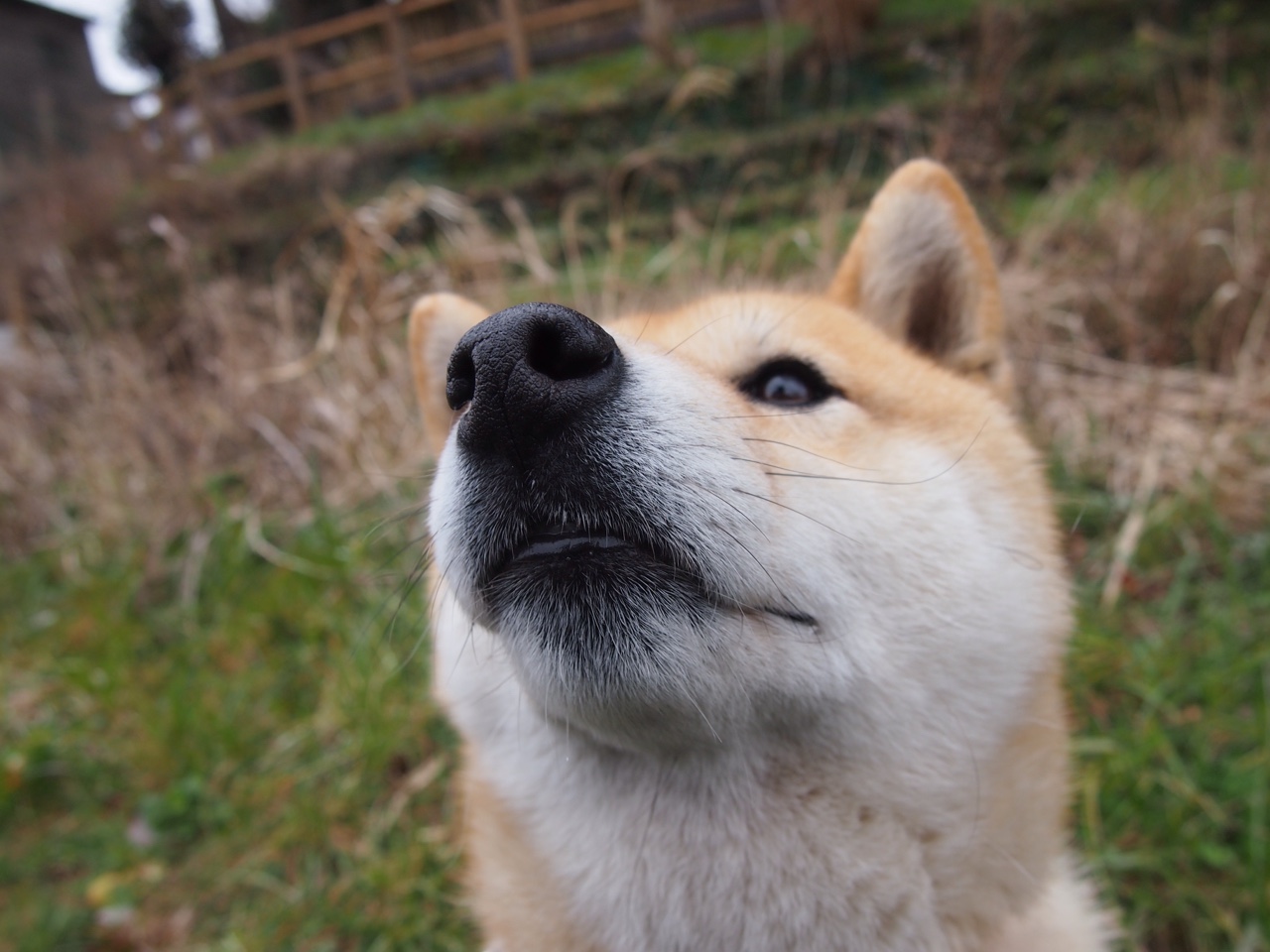 黑白直播nba在线观看-硬仗铸就王者，门迪的铁血一战与乌拉圭的精神图腾
